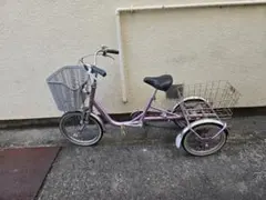 2026年最新】三輪 ブリジストンの人気アイテム - メルカリ