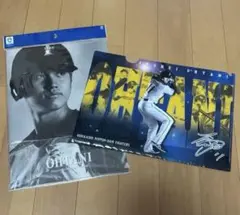 2026年最新】大谷翔平 クリアファイル 日ハムの人気アイテム - メルカリ