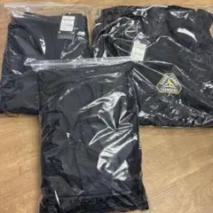 2026年最新】群馬クレインサンダーズ ジャージの人気アイテム - メルカリ