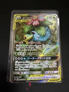 2026年最新】フシギバナ&ツタージャ saの人気アイテム - メルカリ