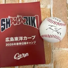 2026年最新】カープサインボールの人気アイテム - メルカリ