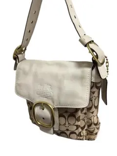 2026年最新】コーチソーホーシグネチャーキャンバスの人気アイテム