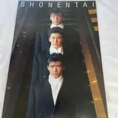 2026年最新】少年隊 パンフレットの人気アイテム - メルカリ