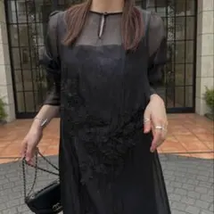 2026年最新】Sheer motif lace op & gatherの人気アイテム - メルカリ