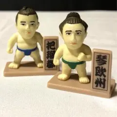 2026年最新】大相撲レアグッズの人気アイテム - メルカリ