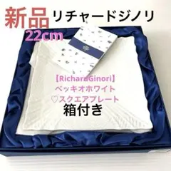 2026年最新】リチャードジノリ スクエアプレート ホワイトの人気