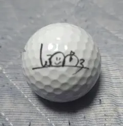 2026年最新】渋野日向 サインボールの人気アイテム - メルカリ