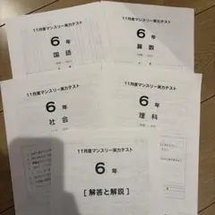 2026年最新】サピックス 6年 テストの人気アイテム - メルカリ