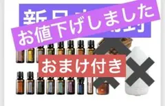 2026年最新】森の音デラックスキットの人気アイテム - メルカリ