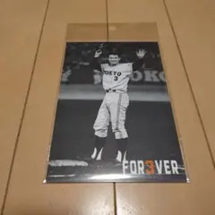 2026年最新】長嶋茂雄記念セットの人気アイテム - メルカリ