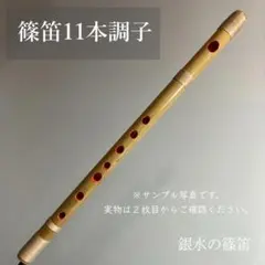 2026年最新】篠竹 女竹の人気アイテム - メルカリ