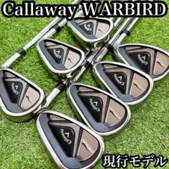 2026年最新】ウォーバード キャロウェイ アイアンの人気アイテム