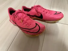 2026年最新】パンクフライの人気アイテム - メルカリ