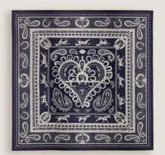 2026年最新】カシクールの人気アイテム - メルカリ