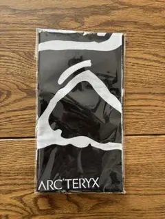 2026年最新】ARC'TERYX バンダナの人気アイテム - メルカリ