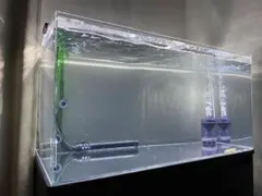 2026年最新】アクリル水槽 90の人気アイテム - メルカリ