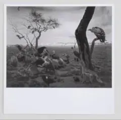 2026年最新】杉本博司 ポスターの人気アイテム - メルカリ