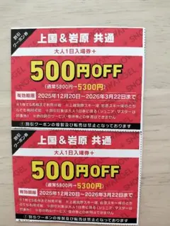 2026年最新】岩原スキー場の人気アイテム - メルカリ