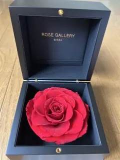 2026年最新】ローズギャラリーの人気アイテム - メルカリ