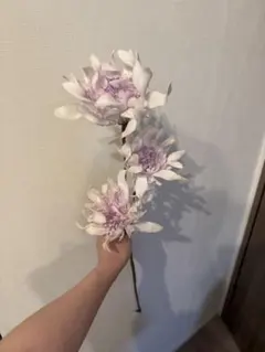 2026年最新】francfranc 造花の人気アイテム - メルカリ