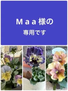 2026年最新】フェデネージュの人気アイテム - メルカリ