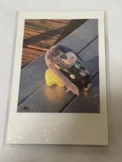 2026年最新】ado チェキ シークレットの人気アイテム - メルカリ