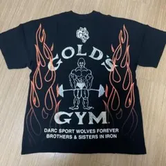 2026年最新】ダルクスポーツ ゴールドジムの人気アイテム - メルカリ