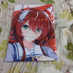 2026年最新】ウインバリアシオン 応援タオルの人気アイテム - メルカリ