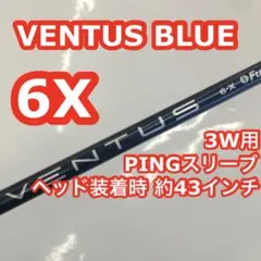 2026年最新】ベンタスブラック6x ピンの人気アイテム - メルカリ