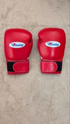 2026年最新】ボクシンググローブ 10オンス winningの人気アイテム