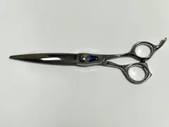 2026年最新】トギノン マリンシャークの人気アイテム - メルカリ