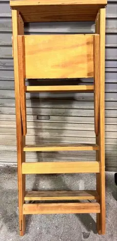 2026年最新】ミシガンラダーの人気アイテム - メルカリ