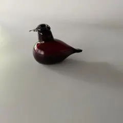 2026年最新】イッタラバード リトルターンの人気アイテム - メルカリ