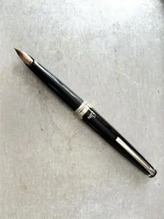 2026年最新】万年筆 パイロット エリートの人気アイテム - メルカリ