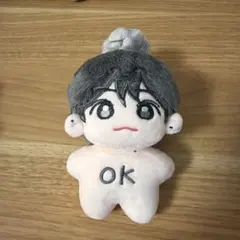 2026年最新】rIize ぬいぐるみ 40 ウンソクの人気アイテム - メルカリ