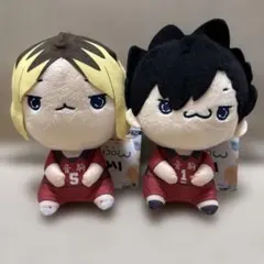 2026年最新】黒尾鉄朗 ぬいぐるみ もちぴこの人気アイテム - メルカリ