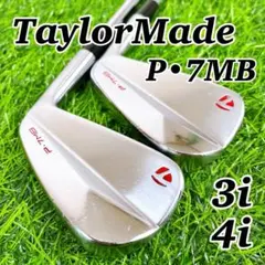 2026年最新】p7MB プロジェクトxの人気アイテム - メルカリ