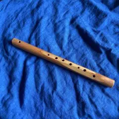 2026年最新】コロイ フルートの人気アイテム - メルカリ