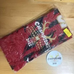 2026年最新】鹿島アントラーズ ニットマフラーの人気アイテム - メルカリ