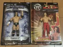 2026年最新】ショーンマイケルズの人気アイテム - メルカリ