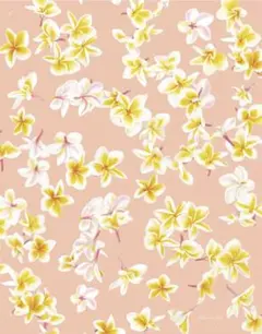 2026年最新】アロハデメレの人気アイテム - メルカリ