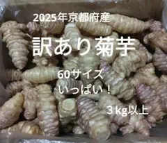 2026年最新】菊芋種芋の人気アイテム - メルカリ