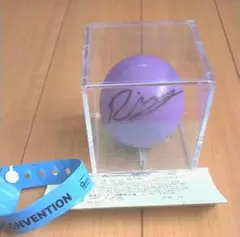 2026年最新】リッキー サインボールの人気アイテム - メルカリ