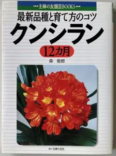 2026年最新】クンシランの人気アイテム - メルカリ