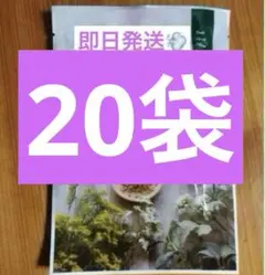 2026年最新】ファインハーブの人気アイテム - メルカリ