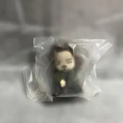 2026年最新】シリウス・ブラック ぬいぐるみの人気アイテム - メルカリ