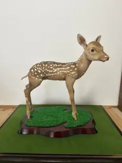 2026年最新】バンビ 剥製の人気アイテム - メルカリ