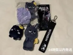 2026年最新】ウォンビン シュシュの人気アイテム - メルカリ