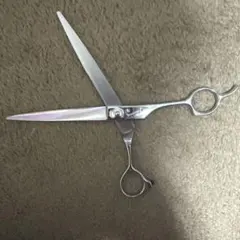 2026年最新】セニング サクシードの人気アイテム - メルカリ