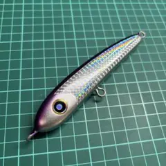 2026年最新】ローカルスタンダード パドルベイトの人気アイテム - メルカリ